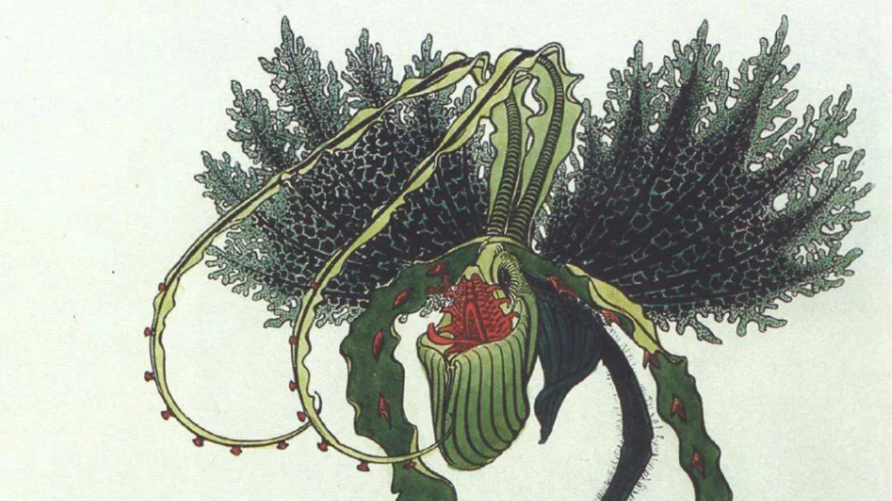 DIE BLUMEN DES BÖSEN<br>Charles Baudelaire in Wort und Klang