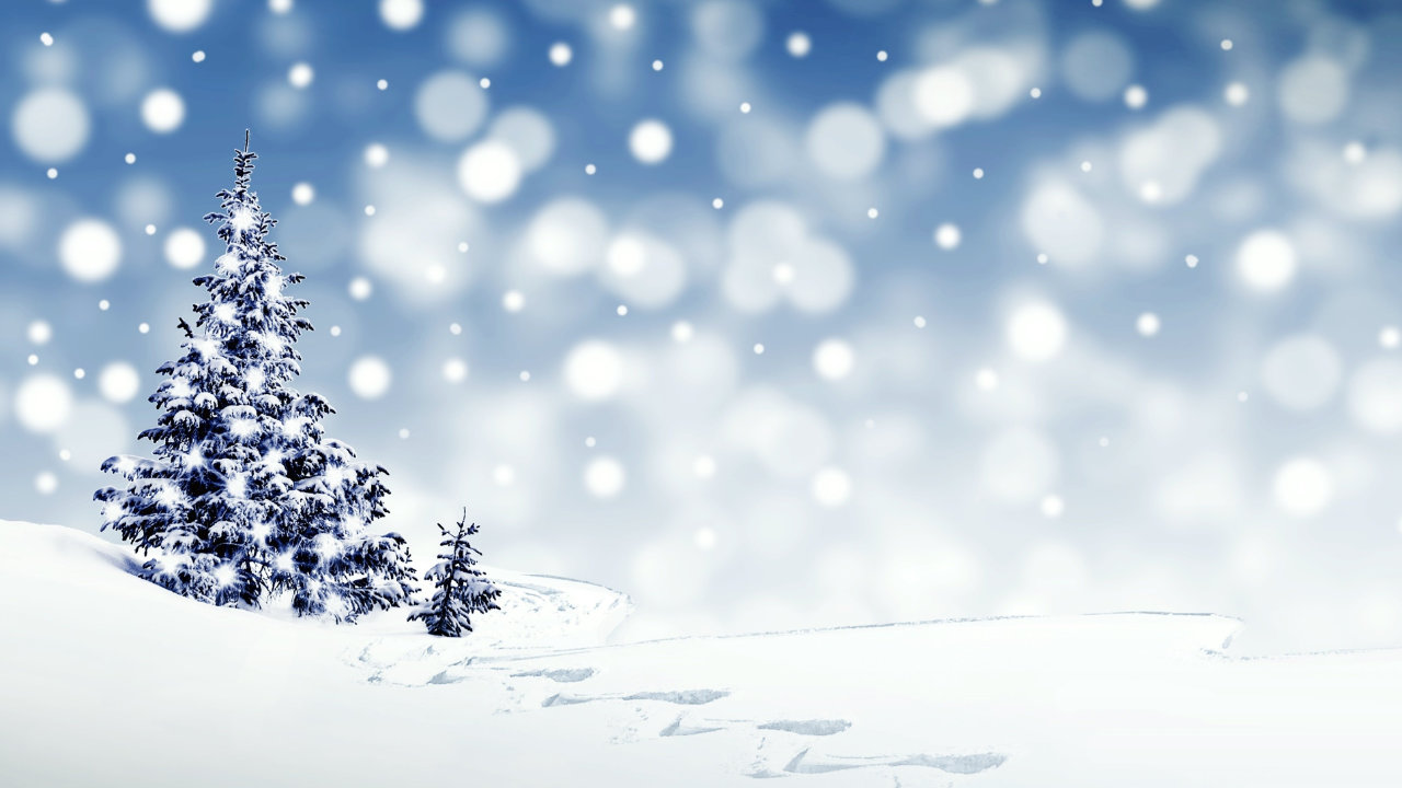 Katharina Fiedlers<br>WEIHNACHTSSTREIFZUG<br>Ein literarischer Streifzug um Weihnachtsmänner, himmlische Heerscharen,<br>Tannenbäume und Schneestürme